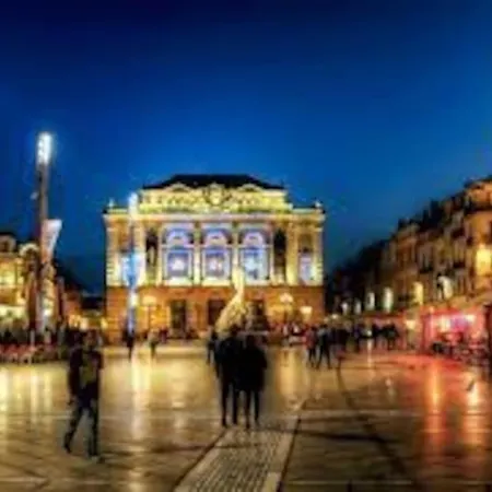 Le Dauphin * Montpellier