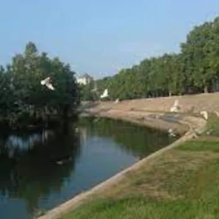 Villa Le Dauphin *