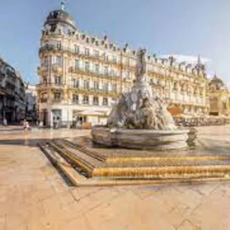 Le Dauphin * Montpellier