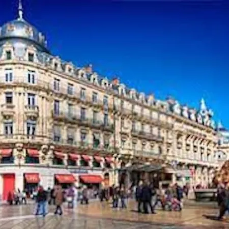 Le Dauphin Villa
